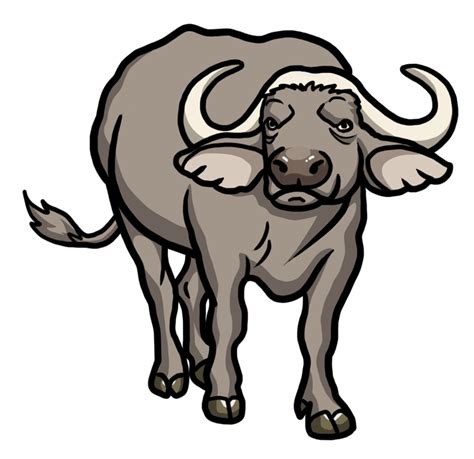 live draw buffalo